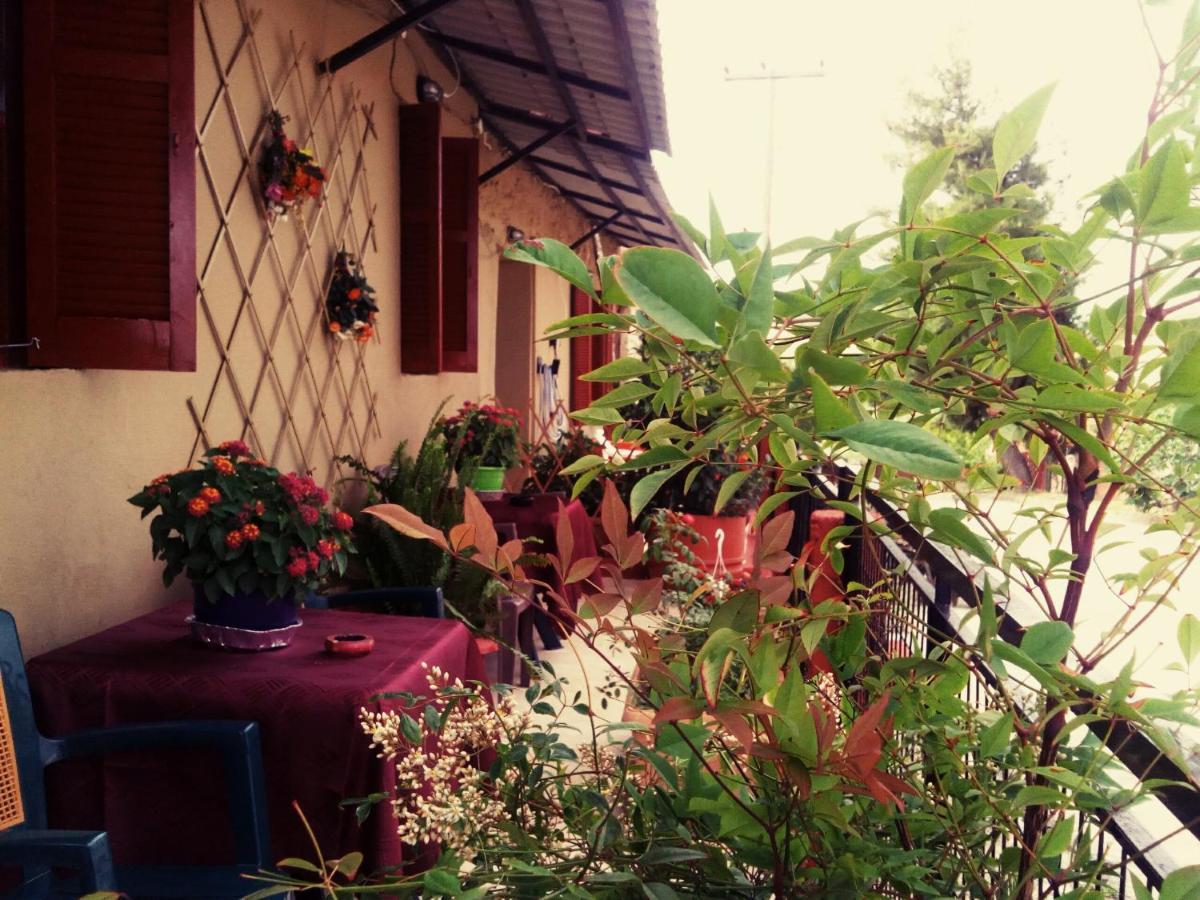 Maison Des Amis Vatopedi Екстер'єр фото